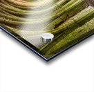 Cellarium under Fountains Abbey ruins in Yorkshire England Acrylic print