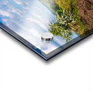 Bluebells by the path on Old Oswestry hill fort in Shropshire Acrylic print