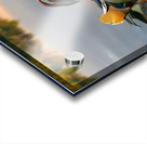 Mandarin duck floats on Ellesmere Mere to a clear reflection of  Acrylic print