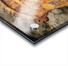 Sugar industry equipment abandoned on Mokolea Point Acrylic print