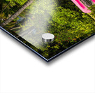 Red canoe on dock reflecting into calm lake or pond in garden Acrylic print