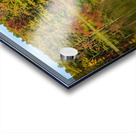 Fall leaves and metal pier in Coopers Rock State Forest in WV Acrylic print