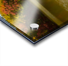 Detail of rusty metal pipe with fall leaves in Coopers Rock in W Impression Acrylique