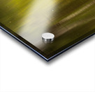 Great blue heron standing in calm water in Atchafalaya basin Acrylic print