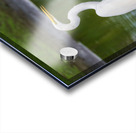 Great Egret on the stumps of bald cypress trees in Atchafalaya b Acrylic print