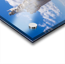 Monument to the Immigrant sculpture in New Orleans Acrylic print