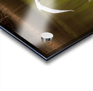 Great Egret flying in perfect circle in Atchafalaya basin Acrylic print