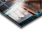 Portrait of horse pulling carriage with black dog on sidewalk Acrylic print