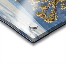 Eastern White Pine covered with snow at Coopers Rock Acrylic print