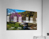 Redbud blossoms by Bench and Valley Falls WV on a bright spring morning Acrylic Print