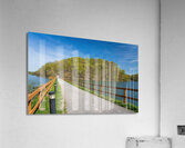 Pathway to spring leaves in Cheat Lake Morgantown WV Impression acrylique