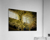 Holiday lights spectacular in Johnson City Texas Acrylic Print