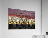 Dramatic sunset over Legacy Hills Park lake with details of tree Acrylic Print
