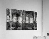 Large cypress trees in Cypress Bend Park alongside Guadalupe Riv Acrylic Print