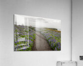 Path from the bird watching cliffs at Skalanes Nature Center Acrylic Print