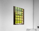 Barn swallow perched on the bars of window of 13th Century forti Acrylic Print