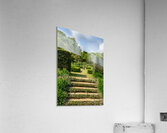 Stone steps into a hedged flower garden on the Isle of Wight Acrylic Print
