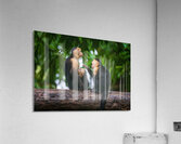 Close up of a family or group of white faced Capuchin Monkeys in Acrylic Print