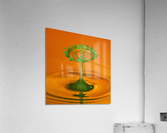 Water droplet collision - crown Acrylic Print