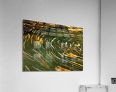 Swirling leaves on Deckers Creek Acrylic Print