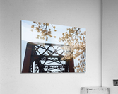 Spring blossoms by Steel girder bridge Morgantown Acrylic Print