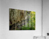 Pathway in Audra State Park near Buckhannon in West Virginia Acrylic Print