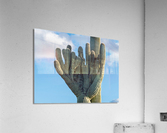Crested Saguaro in National Park West Acrylic Print
