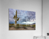 Sunset in Saguaro National Park Tucson Impression acrylique