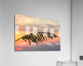Sea Oats against rising sun in Florida Acrylic Print