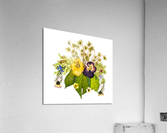 Arrangement of dried pressed flowers Acrylic Print