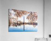Washington Monument towers above blossoms Acrylic Print