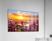 Sunset over Charlotte Amalie St Thomas Acrylic Print