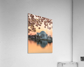 Cherry Blossom and Jefferson Memorial at sunrise Acrylic Print
