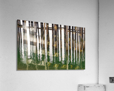 Old wooden pier structure in bay at Icy Strait Point in Alaska Acrylic Print