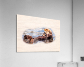Digital watercolor of Sea Otter floating in the sea Acrylic Print