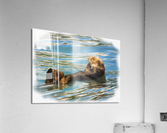 Digital pastel of Sea Otter floating in the sea Acrylic Print