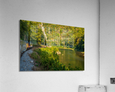 Diesel engine on train trip up gorge Impression acrylique