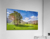 Tree with Langdale Pikes in Lake District Acrylic Print
