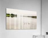 Reflection of branch in Coniston Water  Acrylic Print