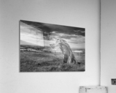 Traditional green man woven from branches Impression acrylique