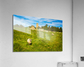 Church St James across sheep in Chipping Campden Acrylic Print