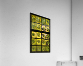 Window of old crown glass panes reflected garden Impression acrylique