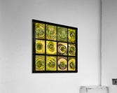 Window of old crown glass panes reflected garden Acrylic Print