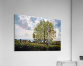 Statue of Jesus at Port Tobacco Maryland Acrylic Print