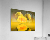 Two mangoes and one cut mango reflecting Acrylic Print