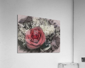 Color charcoal drawing of red rose bouquet Acrylic Print