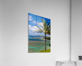 Sealodge and anini beach in Kauai Acrylic Print