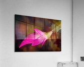 Christmas Cactus Flower  Acrylic Print