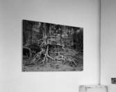 Storm erosion on tree roots at Kee beach Acrylic Print