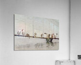 Colony of Imperial Cormorant seabirds in Punta Arenas Chile Impression acrylique